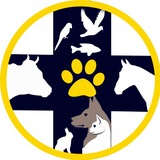 Картинка канала