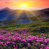 Картинка канала