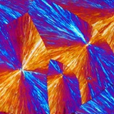 Channel Logo