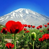 Картинка канала