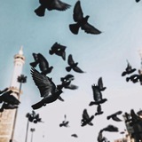 Картинка канала