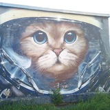 Картинка канала