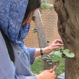 Картинка канала