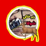 Картинка канала