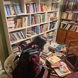 Картинка канала