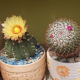 Картинка канала