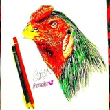 Картинка канала