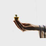 Картинка канала