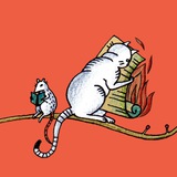 Картинка канала