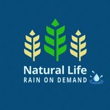 Картинка канала