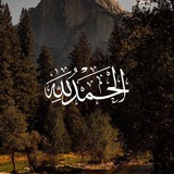 Картинка канала