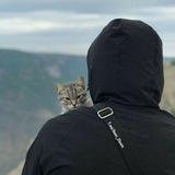 Картинка канала