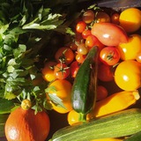 Картинка канала