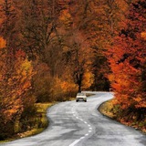 Картинка канала