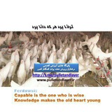 Картинка канала