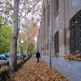 Картинка канала