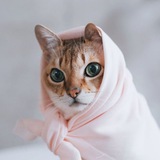 Картинка канала