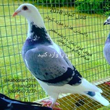 Картинка канала