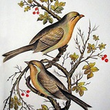 Картинка канала