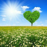 Картинка канала