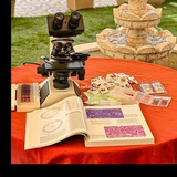 Картинка канала