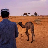 Картинка канала