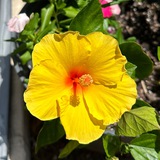 Картинка канала