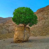 Картинка канала