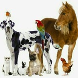 Картинка канала