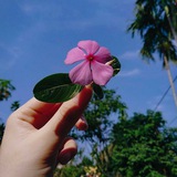 Картинка канала