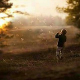 Картинка канала