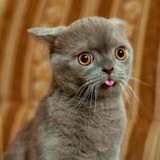 Картинка канала