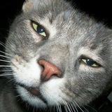 Картинка канала