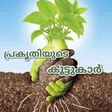 ഔഷധ സസ്യ പഠനം