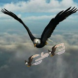 تـ͜͡ـ͜͡ 🦅 ڪــ͜͡ـ͜͡ 🦅 