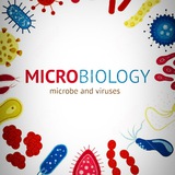 💡 Microbiology NQT