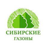 Сибирские газоны