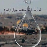 نفحات مقدسية