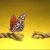 دوره ی جذب خواسته ها با تارهای اتری
