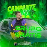 🎯 CAMPANTE TIPS 🎯