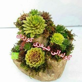 گولدانی شعری کوردی 🌹