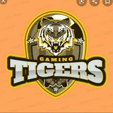 ๐TIGER TOSS FIXING IPL ๐
