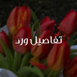 تـفاصـيل وࢪد 🌸 🤍