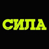 Сила Дзержинск Единоборства