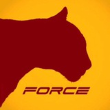 🔥 FORSAGE 🔥 META FORCE OFFICIAL<i class="emoji" style="b