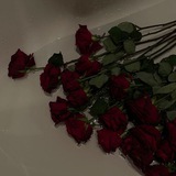 stasia_books