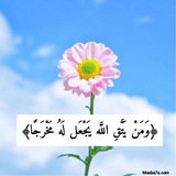 إعلان 📢 محاضرات وحلقات قرآنية ١٤٤٧| 🌴