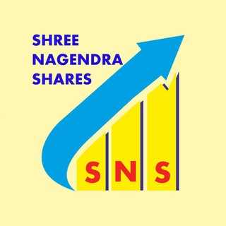 SHREE NAGENDRA STOCKS & SHARES