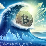 Crypto Century Official