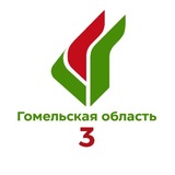 Гомель. Партия «Белая Русь»